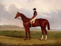 Élite flexible un cheval de course de châtaigne avec John Day jusqu’à John Frederick Herring Jr Cheval